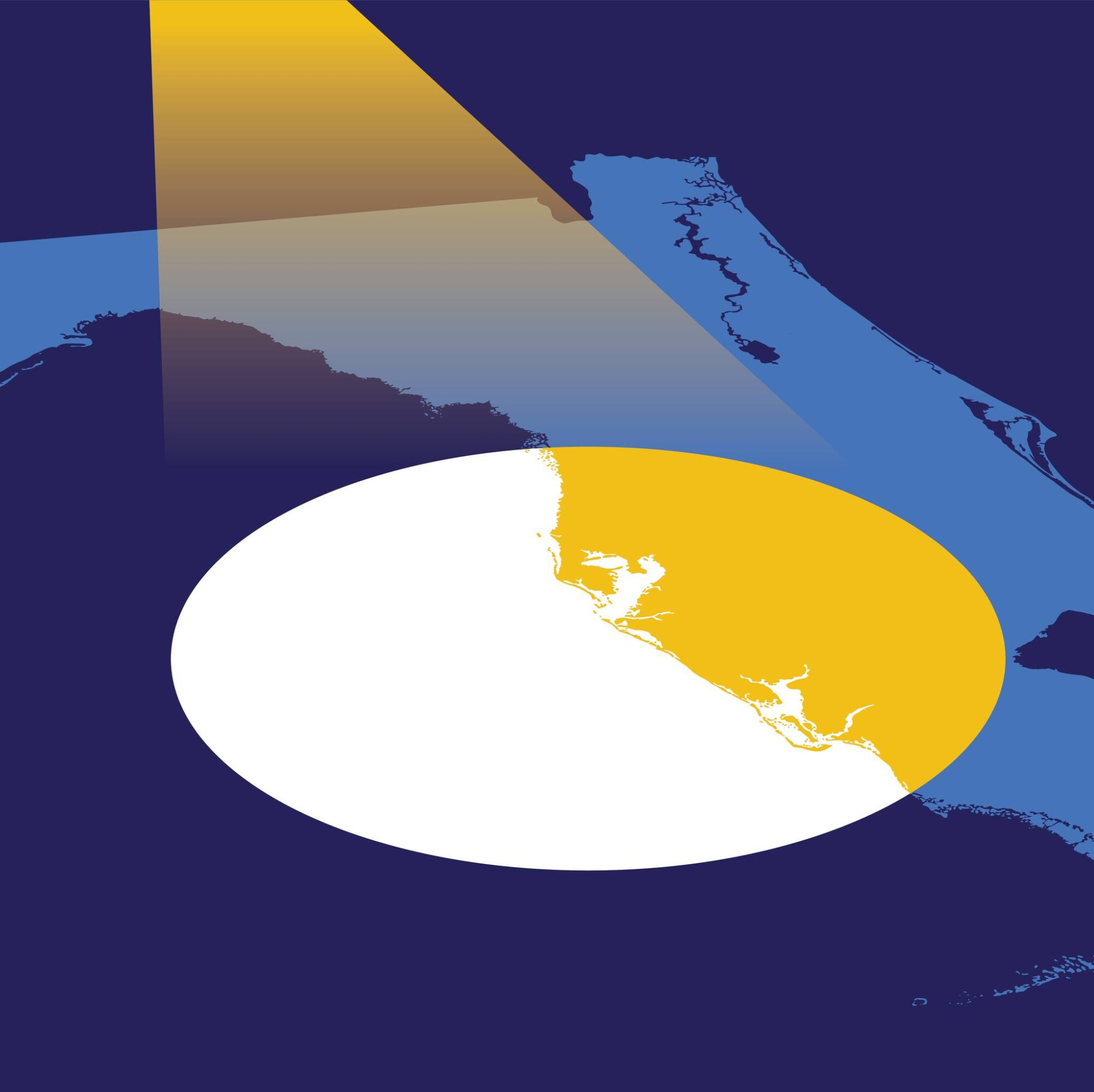 Suncoast Searchlight seeks development director